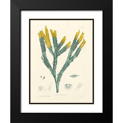 Luminous Seaweed I Black Modern Wood Framed Art Print with Double Matting by Bradbury, Henry
