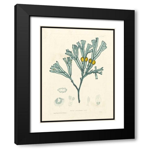 Luminous Seaweed II Black Modern Wood Framed Art Print with Double Matting by Bradbury, Henry