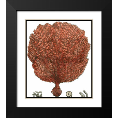Red Coral II Black Modern Wood Framed Art Print with Double Matting by Vision Studio
