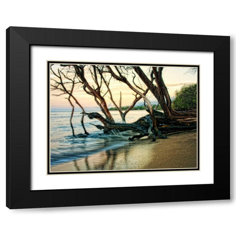 Reaching for the Sea I Black Modern Wood Framed Art Print with Double Matting by Head, Danny