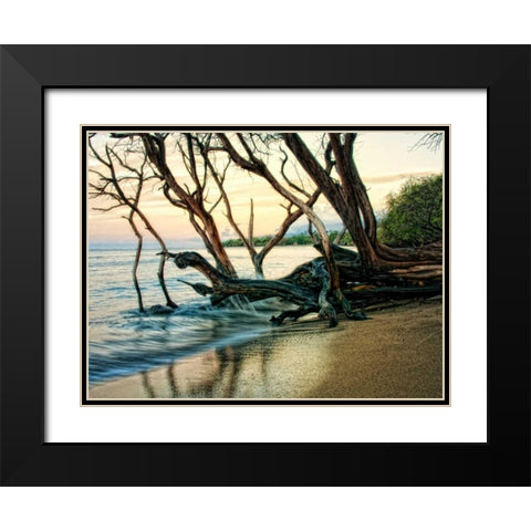 Reaching for the Sea I Black Modern Wood Framed Art Print with Double Matting by Head, Danny