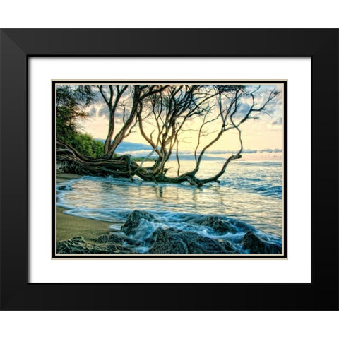 Reaching for the Sea II Black Modern Wood Framed Art Print with Double Matting by Head, Danny