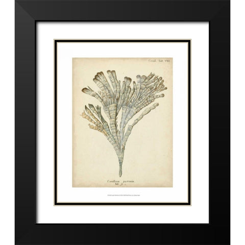 Coral Collection I Black Modern Wood Framed Art Print with Double Matting by Esper, Johann