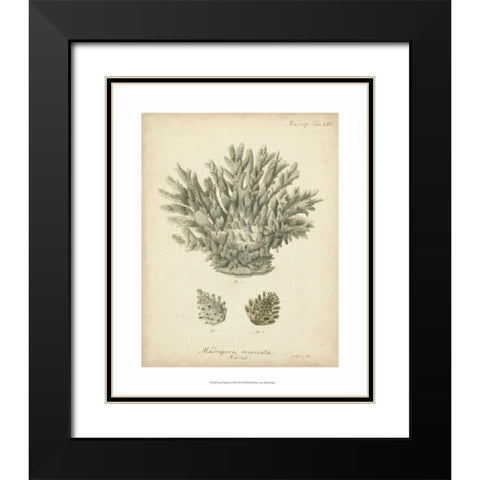 Coral Collection VII Black Modern Wood Framed Art Print with Double Matting by Esper, Johann