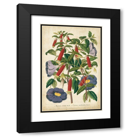 Summer Medley I Black Modern Wood Framed Art Print with Double Matting by Severeyns