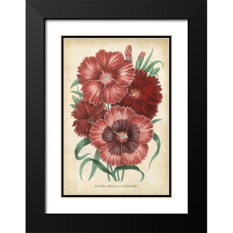 Summer Medley II Black Modern Wood Framed Art Print with Double Matting by Severeyns