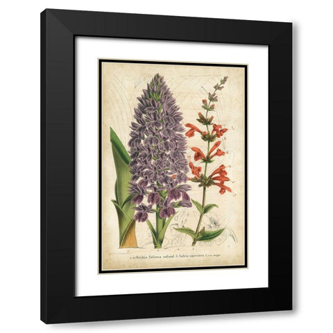 Summer Medley III Black Modern Wood Framed Art Print with Double Matting by Severeyns