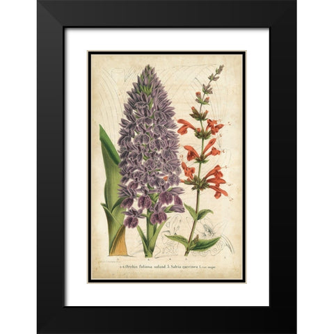 Summer Medley III Black Modern Wood Framed Art Print with Double Matting by Severeyns