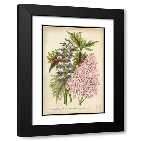 Summer Medley IV Black Modern Wood Framed Art Print with Double Matting by Severeyns