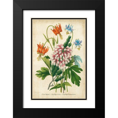 Summer Medley VI Black Modern Wood Framed Art Print with Double Matting by Severeyns