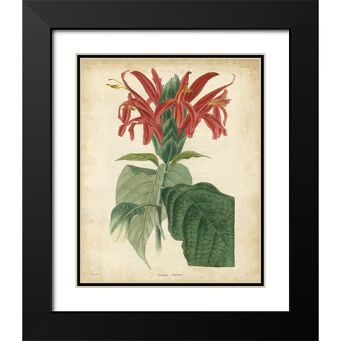 Tropical Floral V Black Modern Wood Framed Art Print with Double Matting by Edmonston and Douglas