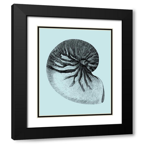 Shells on Aqua II Black Modern Wood Framed Art Print with Double Matting by Vision Studio