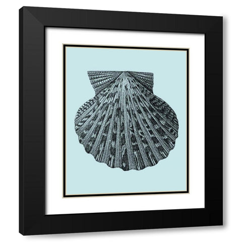 Shells on Aqua III Black Modern Wood Framed Art Print with Double Matting by Vision Studio