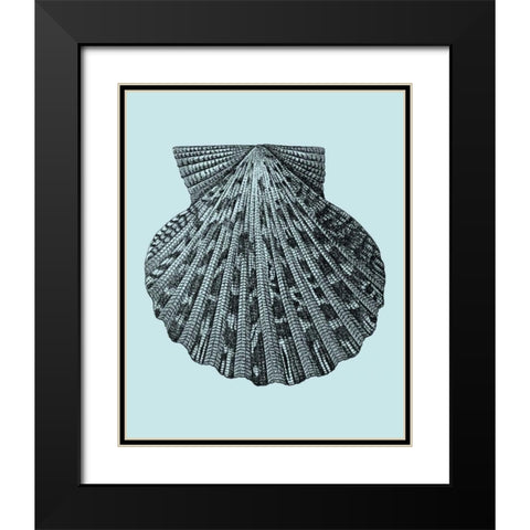 Shells on Aqua III Black Modern Wood Framed Art Print with Double Matting by Vision Studio