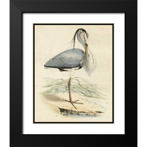 Antique Heron IV Black Modern Wood Framed Art Print with Double Matting by Unknown