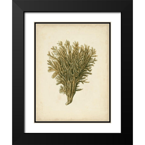 Sealife Collection II Black Modern Wood Framed Art Print with Double Matting by Vision Studio