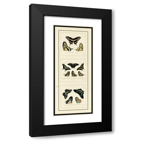 Antique Butterfly Panel II Black Modern Wood Framed Art Print with Double Matting by Jablonsk