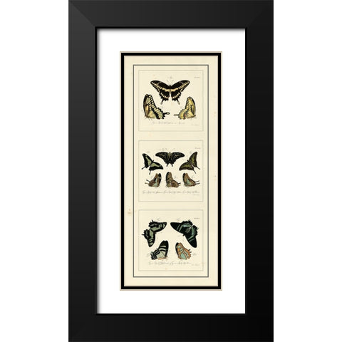 Antique Butterfly Panel II Black Modern Wood Framed Art Print with Double Matting by Jablonsk