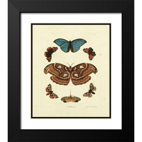 Knorr Butterflies II Black Modern Wood Framed Art Print with Double Matting by Knorr