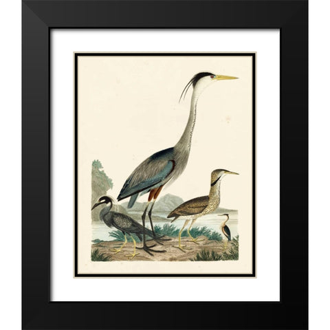 Heron Family I Black Modern Wood Framed Art Print with Double Matting by Wilson, A.