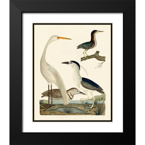 Heron Family II Black Modern Wood Framed Art Print with Double Matting by Wilson, A.