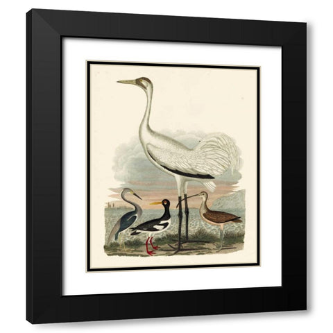 Heron Family III Black Modern Wood Framed Art Print with Double Matting by Wilson, A.