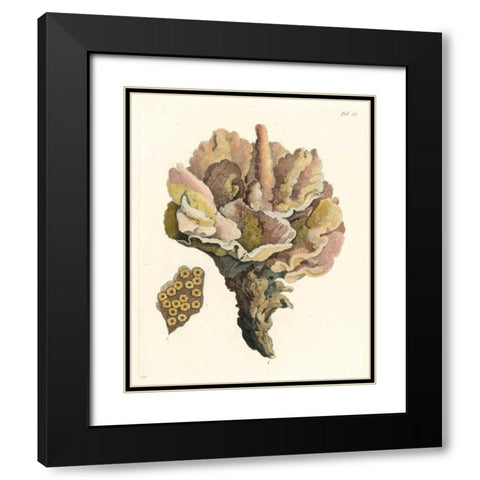 Antique Coral III Black Modern Wood Framed Art Print with Double Matting by Vision Studio