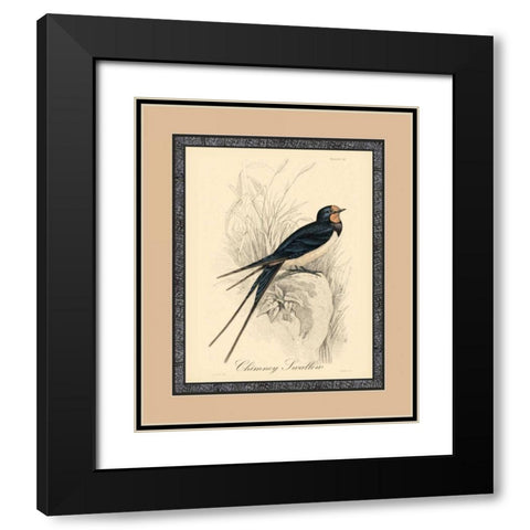 Printed Chimney Swallow Black Modern Wood Framed Art Print with Double Matting by Apogee Art Services