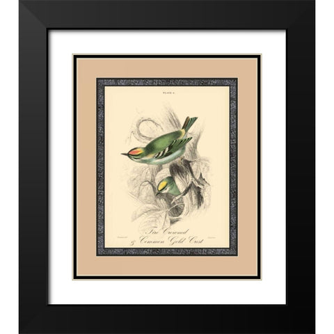 Printed Fire-Crowned Crest Black Modern Wood Framed Art Print with Double Matting by Apogee Art Services