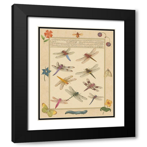 Dragonfly Manuscript III Black Modern Wood Framed Art Print with Double Matting by Prasad, Jaggu