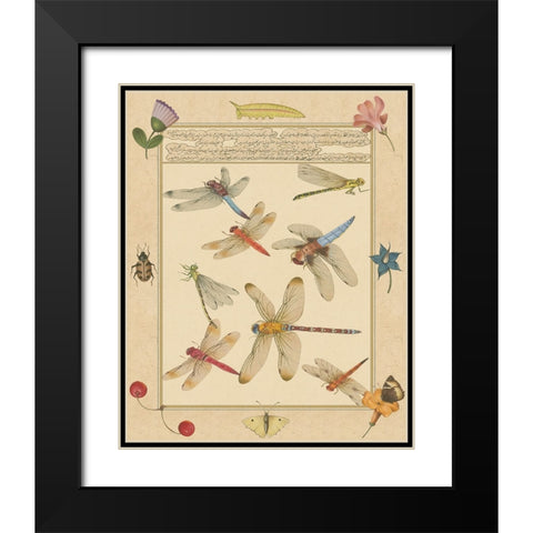 Dragonfly Manuscript IV Black Modern Wood Framed Art Print with Double Matting by Prasad, Jaggu
