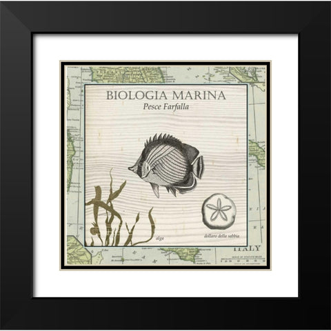 Biologia Marina I Black Modern Wood Framed Art Print with Double Matting by Vision Studio