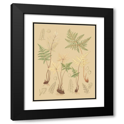 Natures Lace II Black Modern Wood Framed Art Print with Double Matting by Faxon, C.E.
