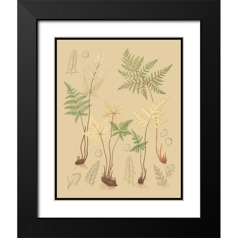 Natures Lace II Black Modern Wood Framed Art Print with Double Matting by Faxon, C.E.