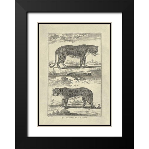 Panther and Leopard Black Modern Wood Framed Art Print with Double Matting by Diderot, Denis