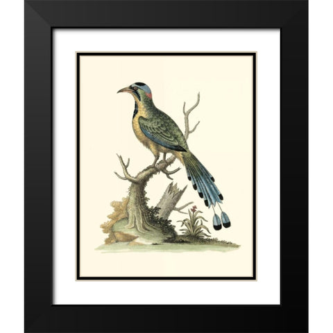 Poised in Nature II Black Modern Wood Framed Art Print with Double Matting by Edwards, George