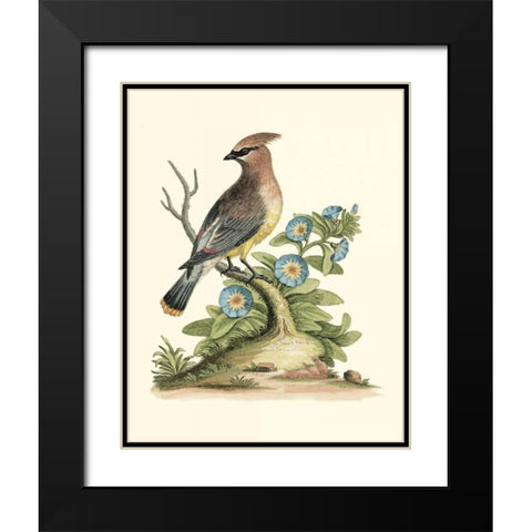 Poised in Nature III Black Modern Wood Framed Art Print with Double Matting by Edwards, George