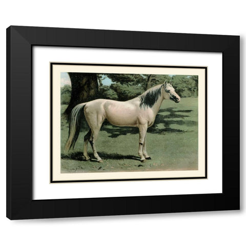 Cassells Horse I Black Modern Wood Framed Art Print with Double Matting by Cassel