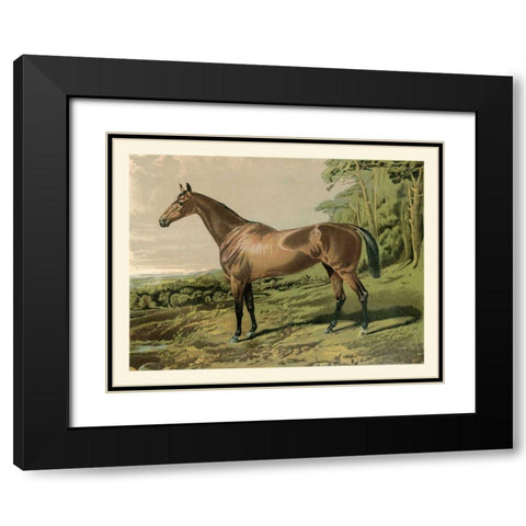 Cassells Horse IV Black Modern Wood Framed Art Print with Double Matting by Cassel