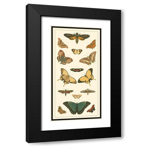 Cramer Butterfly Panel I  Black Modern Wood Framed Art Print with Double Matting by Pieter, Cramer