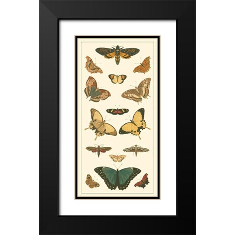Cramer Butterfly Panel I  Black Modern Wood Framed Art Print with Double Matting by Pieter, Cramer
