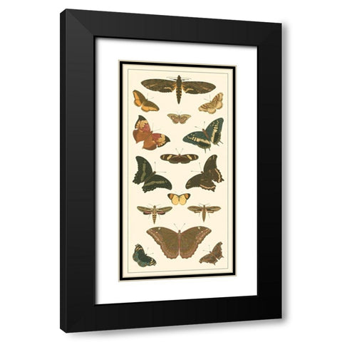 Cramer Butterfly Panel II  Black Modern Wood Framed Art Print with Double Matting by Pieter, Cramer
