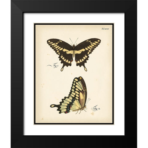 Butterfly Profile I Black Modern Wood Framed Art Print with Double Matting by Vision Studio
