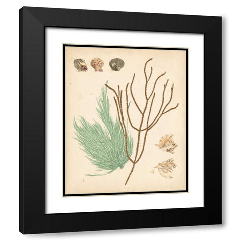 Coastal Relic I Black Modern Wood Framed Art Print with Double Matting by Vision Studio