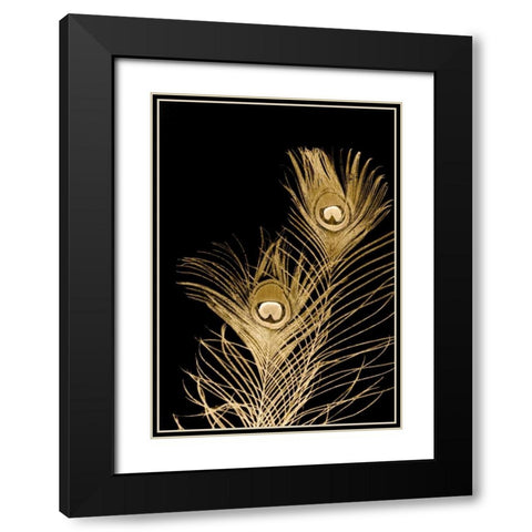 Plumes Dor II Black Modern Wood Framed Art Print with Double Matting by Johnson, Jason