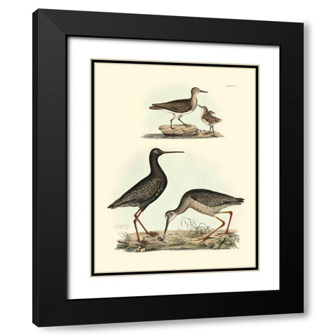Selby Sandpipers I Black Modern Wood Framed Art Print with Double Matting by Selby, John