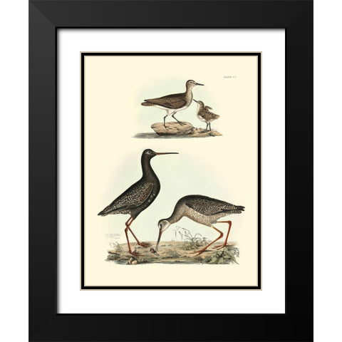 Selby Sandpipers I Black Modern Wood Framed Art Print with Double Matting by Selby, John