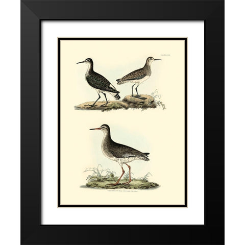 Selby Sandpipers II Black Modern Wood Framed Art Print with Double Matting by Selby, John