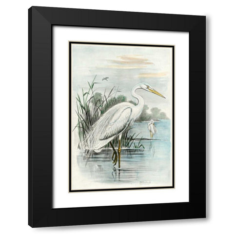 Oversize White Heron Black Modern Wood Framed Art Print with Double Matting by unknown