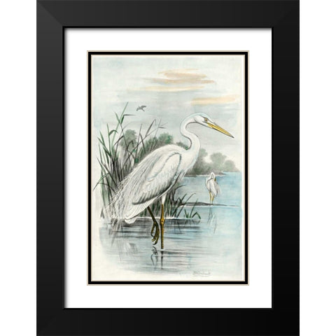 Oversize White Heron Black Modern Wood Framed Art Print with Double Matting by unknown